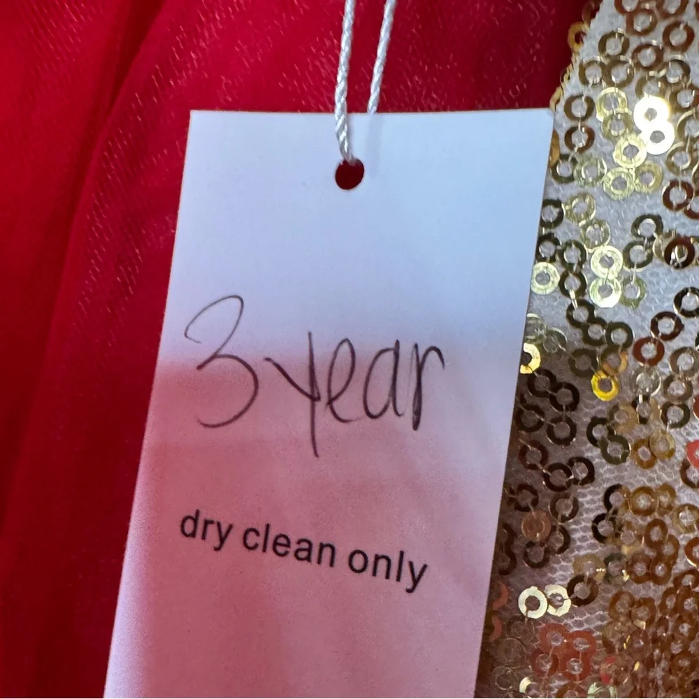 Handmade Red Lace Tulle Dress with Gold Accent - Picture 3 of 3